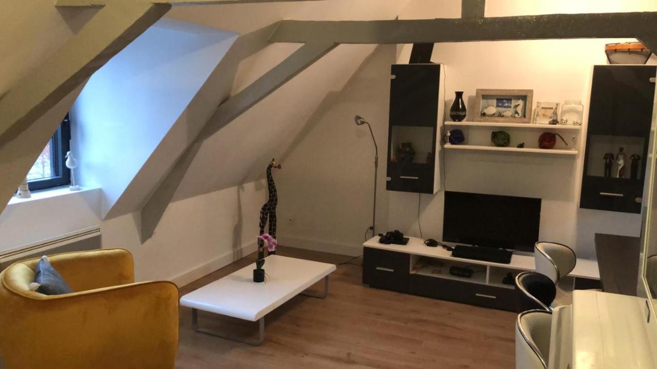Logement Avec Deux Appartements Sur Deux Etages Wormhout 외부 사진